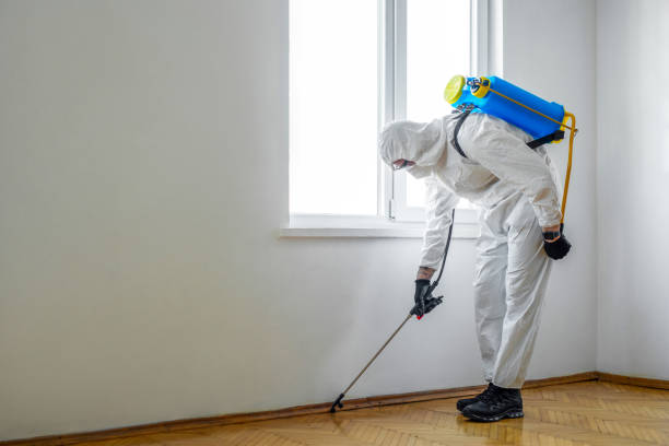 Best Cockroach Control Services  in Henderson, LA