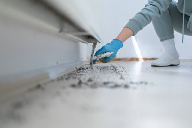 Best Pest Prevention Services  in Henderson, LA