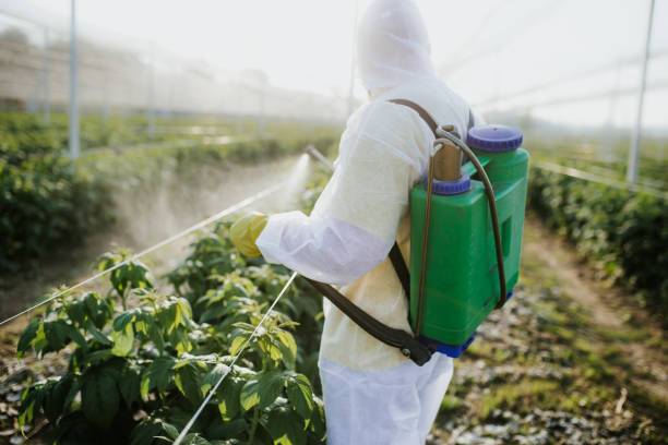 Best Exterminator Services  in Henderson, LA